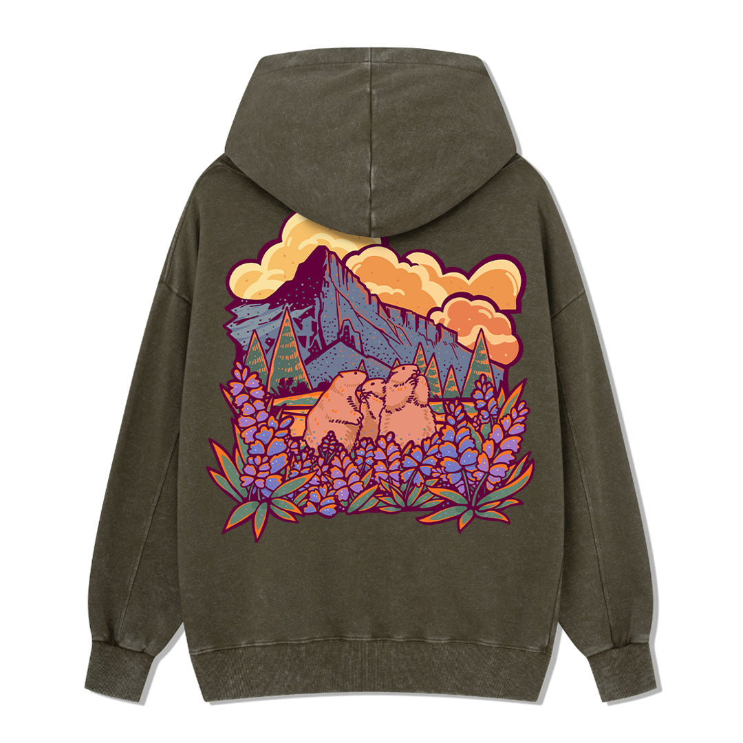 Mount Rainier National Park Washed Hoodie