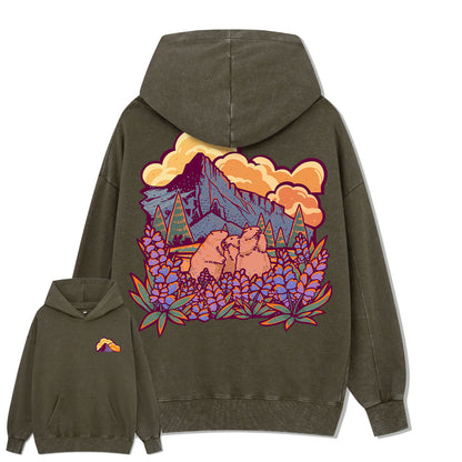 Mount Rainier National Park Washed Hoodie