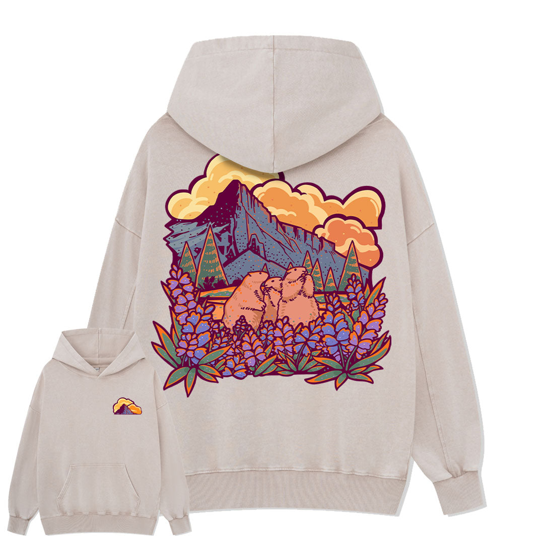 Mount Rainier National Park Washed Hoodie