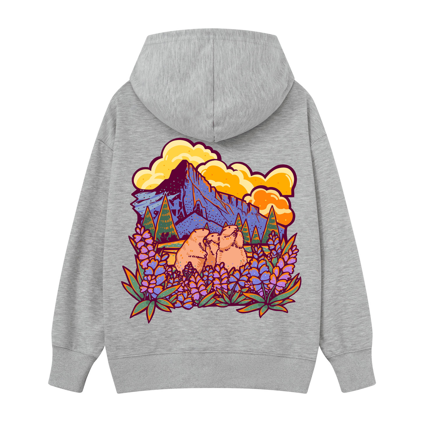 Mount Rainier National Park Hoodie