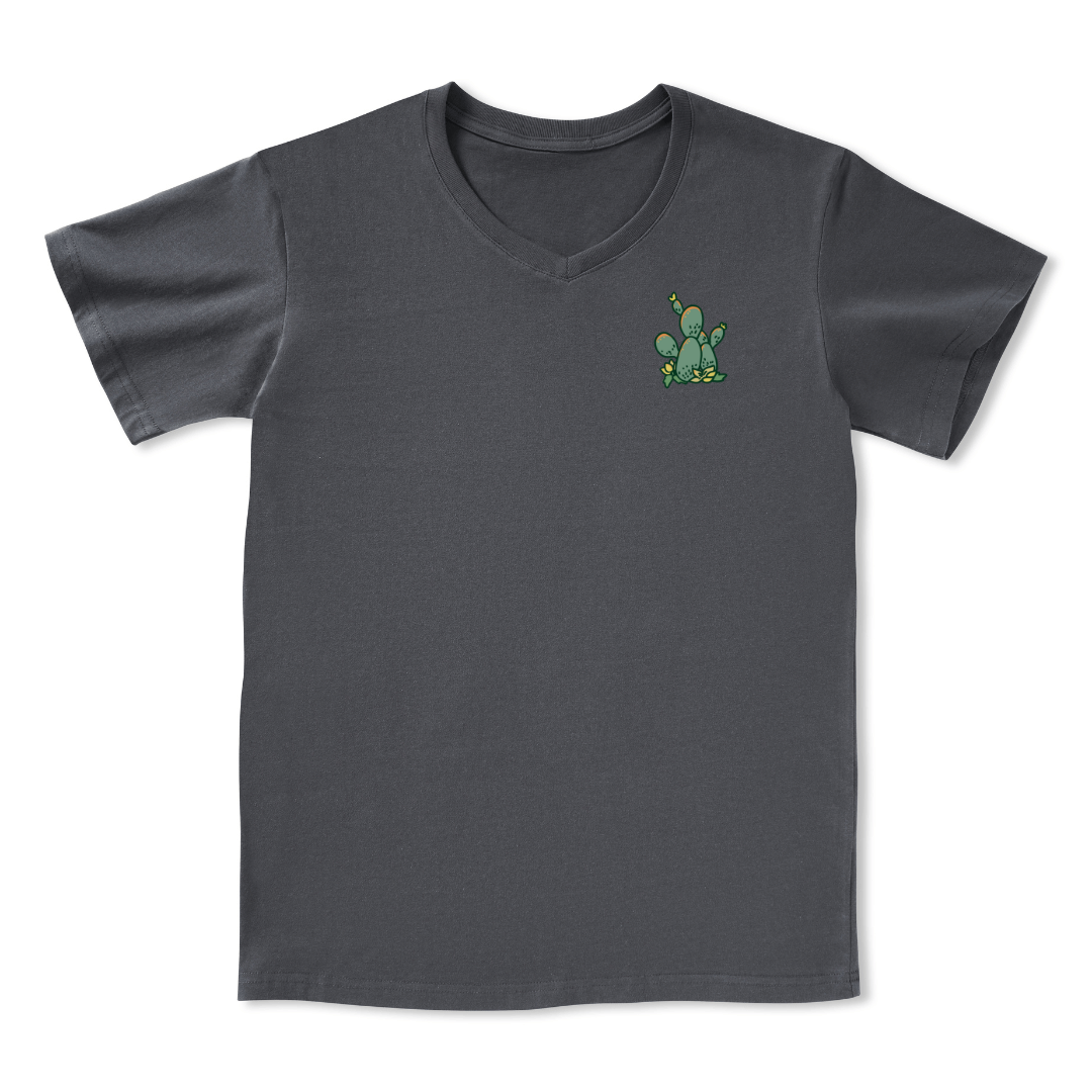 Big Bend National Park V-neck Tee