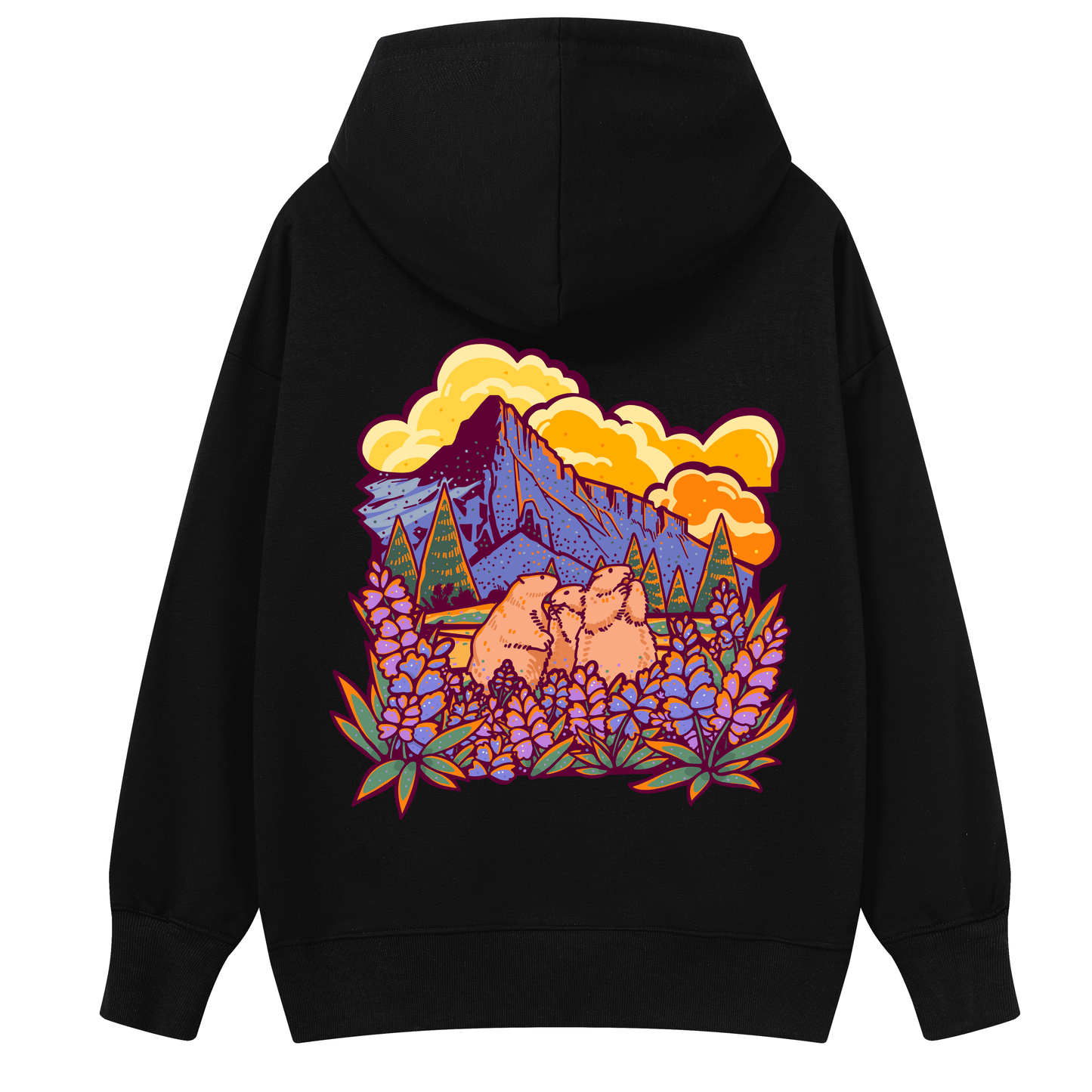 Mount Rainier National Park Hoodie