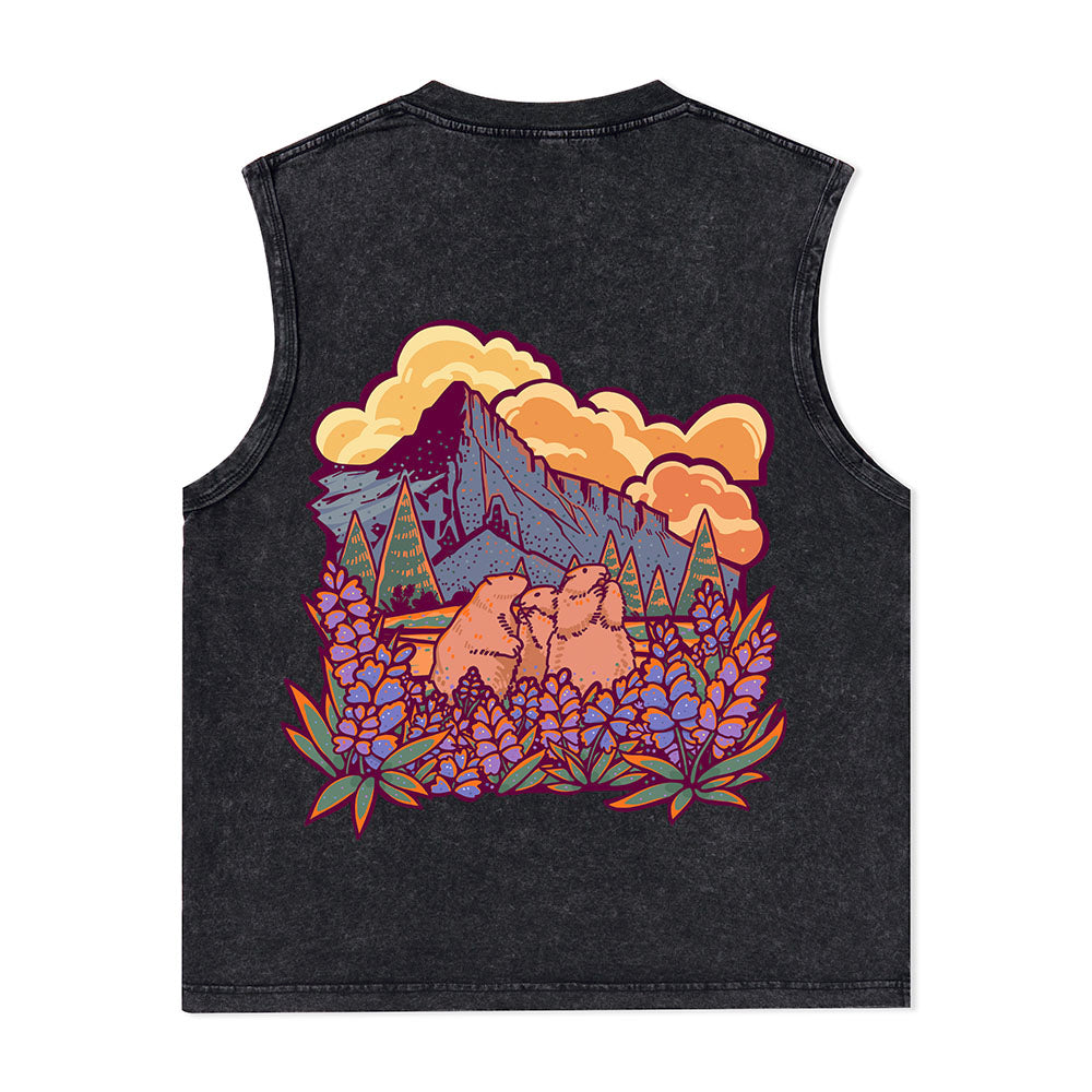 Freeleaf Mount Rainier National Park Unisex Nature Inspired Washed Tank Tops