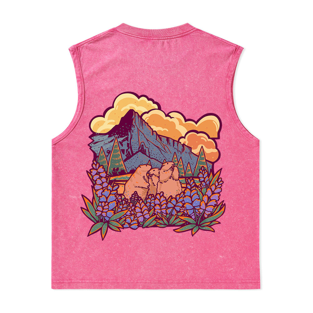 Freeleaf Mount Rainier National Park Unisex Nature Inspired Washed Tank Tops