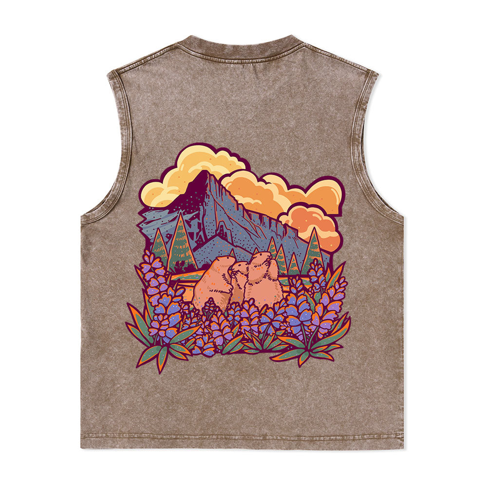 Freeleaf Mount Rainier National Park Unisex Nature Inspired Washed Tank Tops