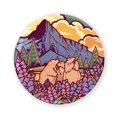 freeleaf-mount-rainier-national-park-badge-pin