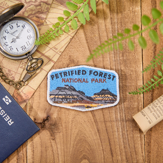 Petrified Forest National Park Vintage Cloth Patch